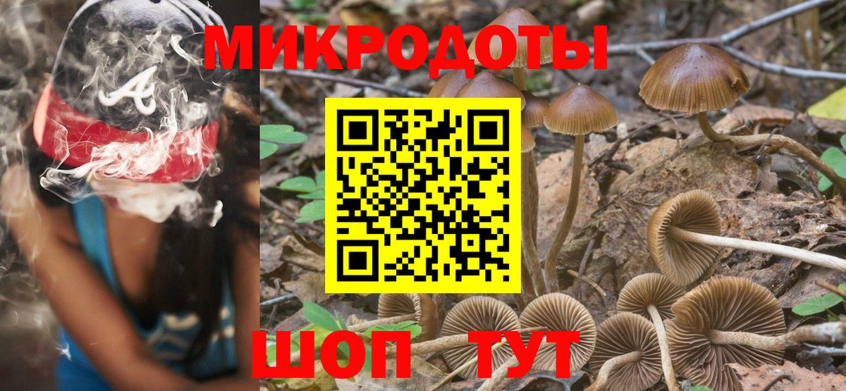 Галлюциногенные грибы мухоморы Киров